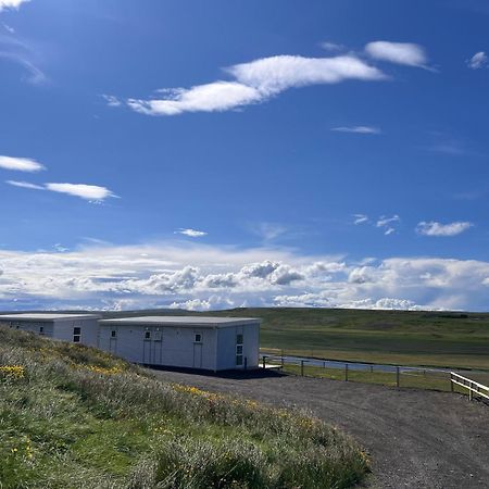 Stora-Asgeirsa Horse Farm Stay Víðigerði エクステリア 写真
