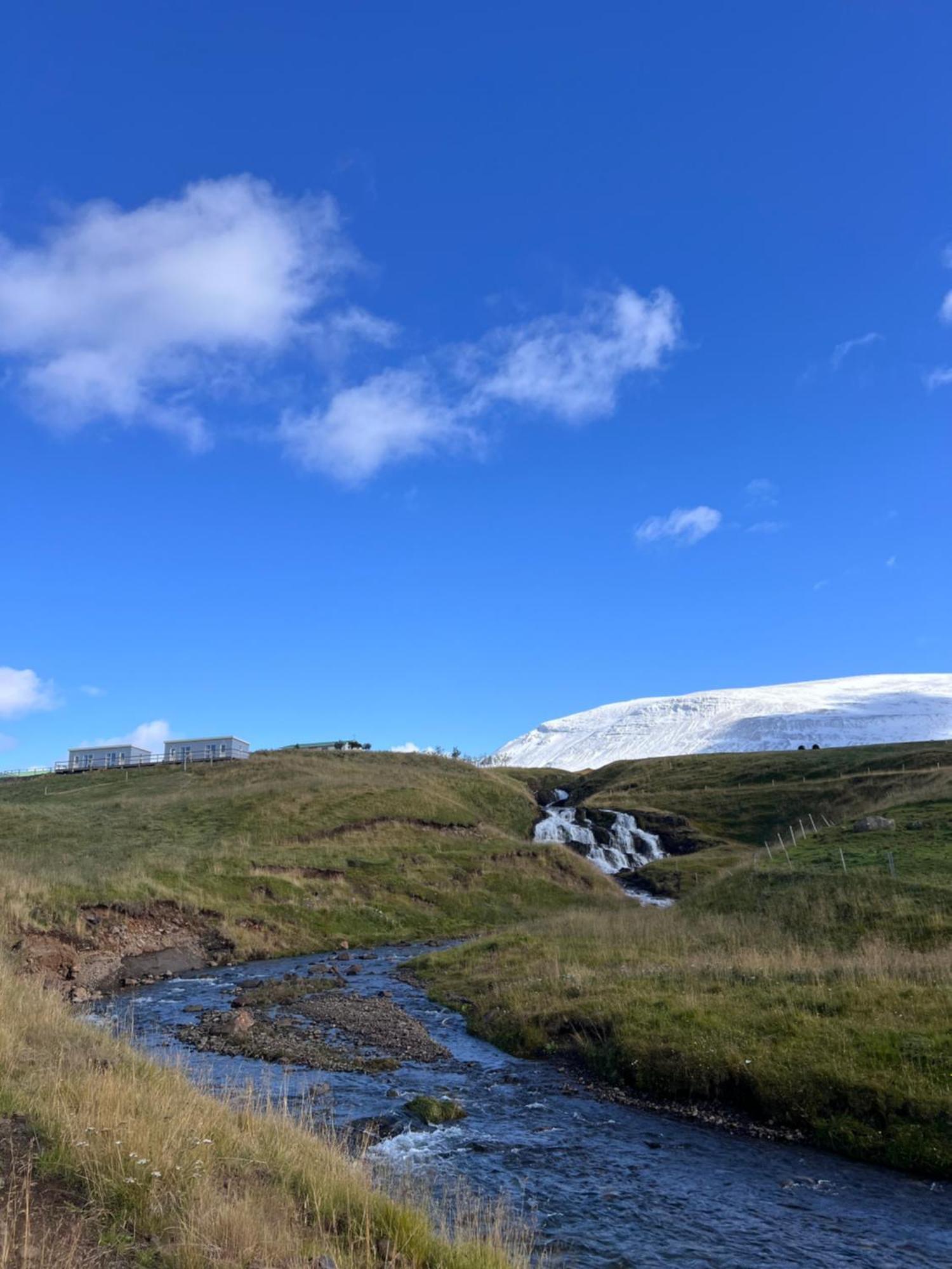 Stora-Asgeirsa Horse Farm Stay Víðigerði エクステリア 写真