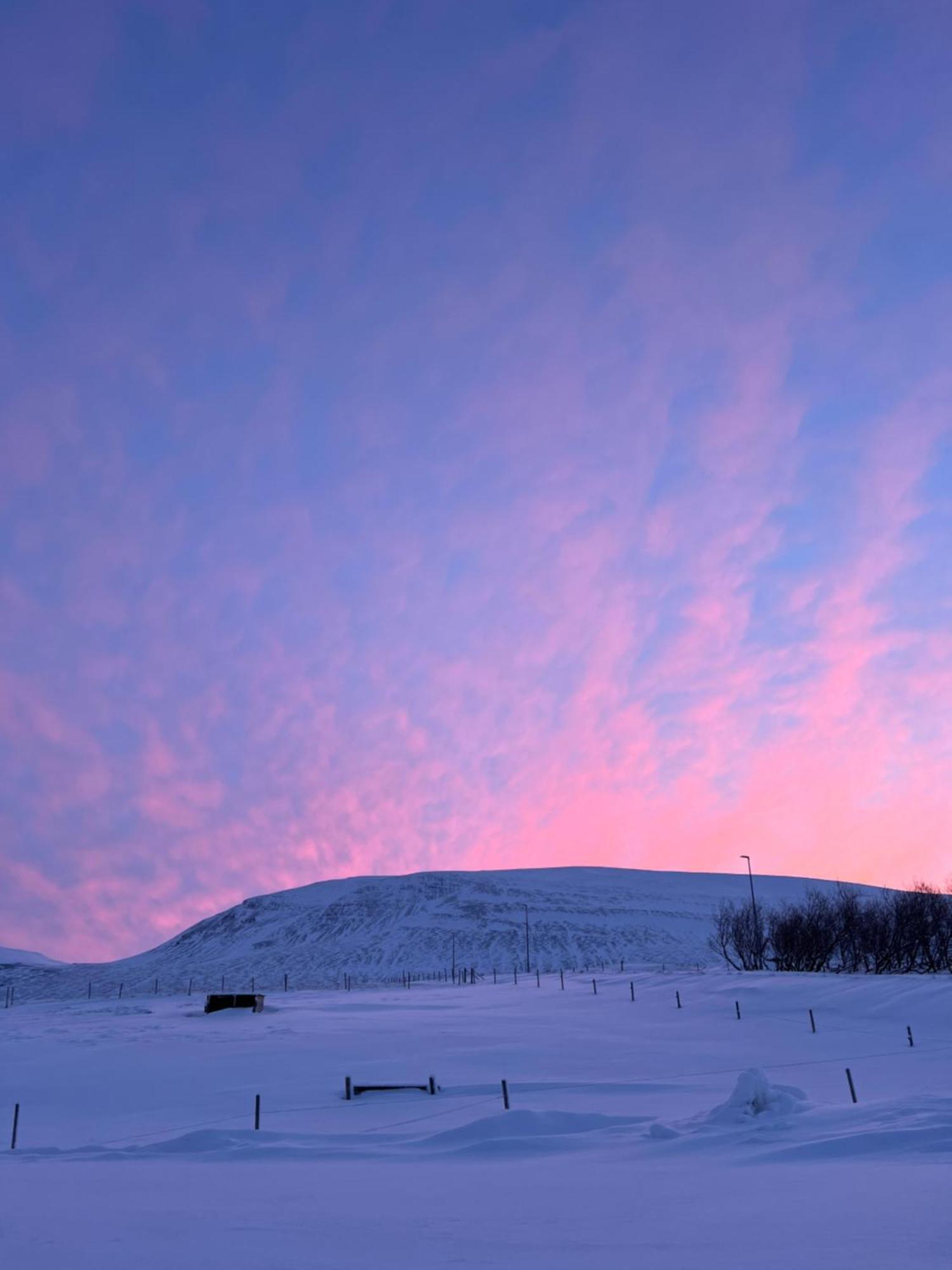 Stora-Asgeirsa Horse Farm Stay Víðigerði エクステリア 写真