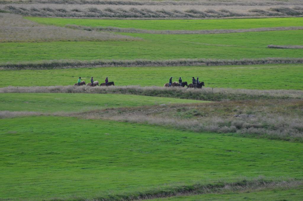 Stora-Asgeirsa Horse Farm Stay Víðigerði エクステリア 写真