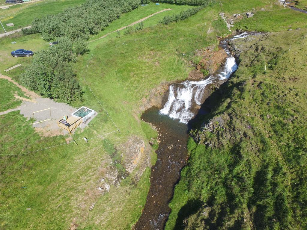 Stora-Asgeirsa Horse Farm Stay Víðigerði エクステリア 写真